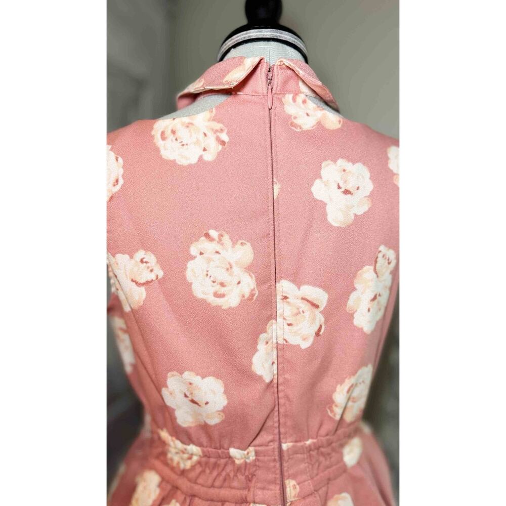 Liz Lisa Collared Floral Pink Dress Jfashion Gyaru Himekaji Coquette Autumn 2013 - Picture 13 of 16